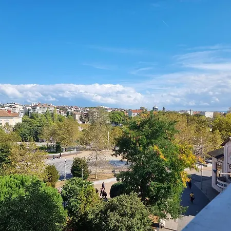 Premium Central View